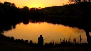 stock-footage-back-view-of-fisherman-catching-fish-at-pond-during-sunset